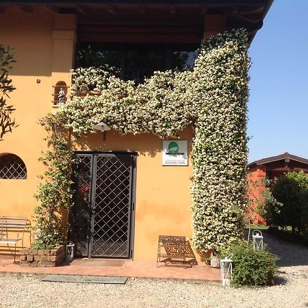 Azienda Agrituristica Santissima Trinita 부드리오 외부 사진