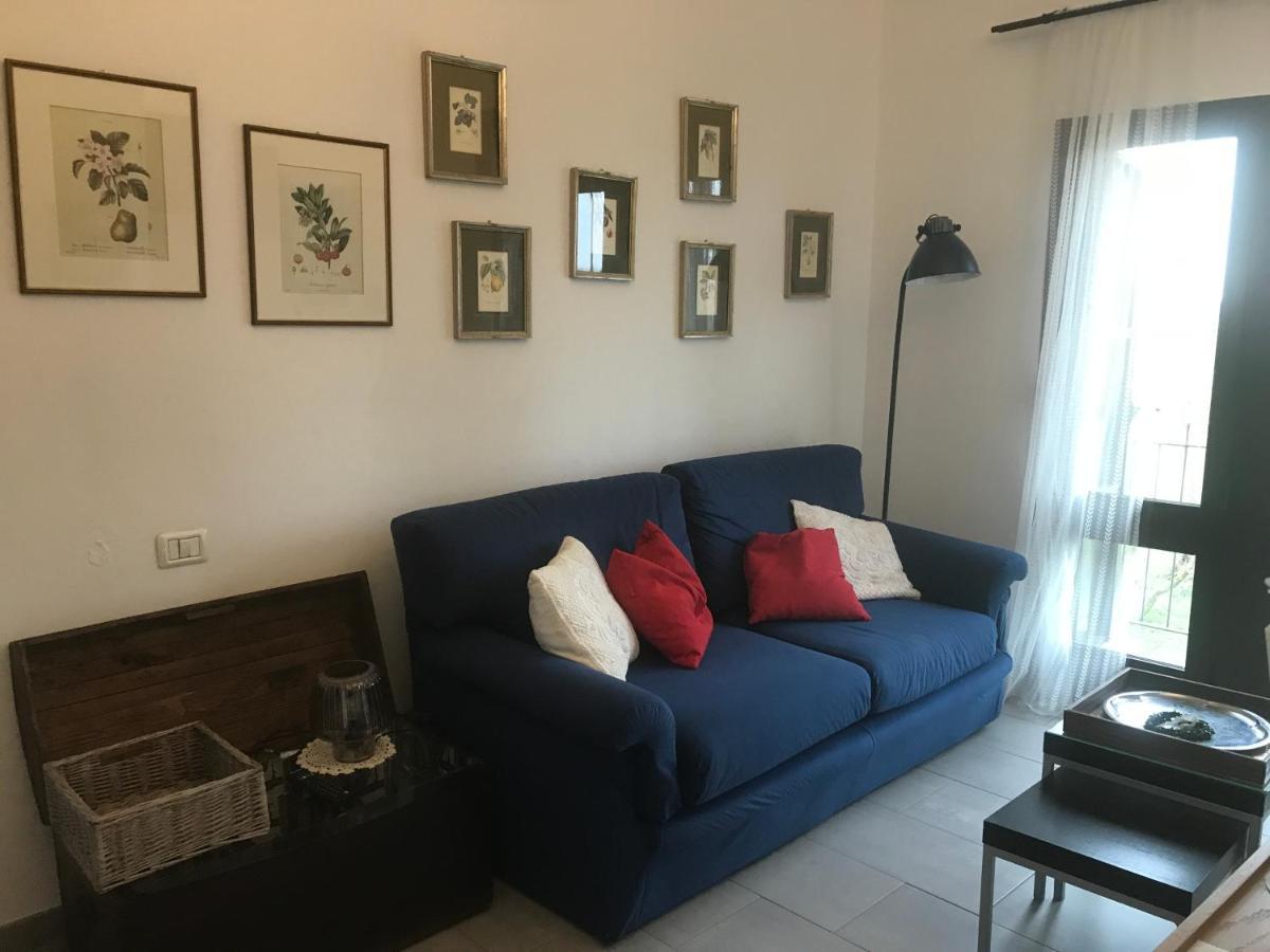 Azienda Agrituristica Santissima Trinita 부드리오 외부 사진